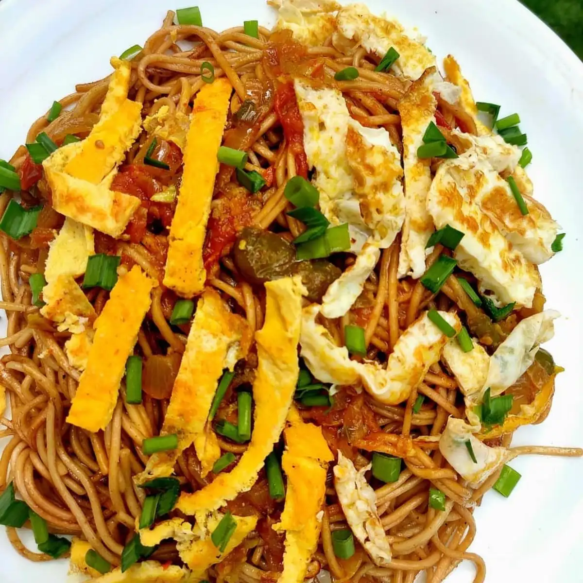 Veg Chowmein from Himalayan Spice Austin TX – wok-fried noodles with fresh vegetables powered by Skiplyn